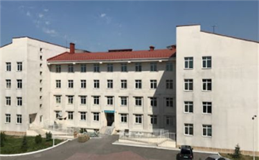 Turkish Maarif School